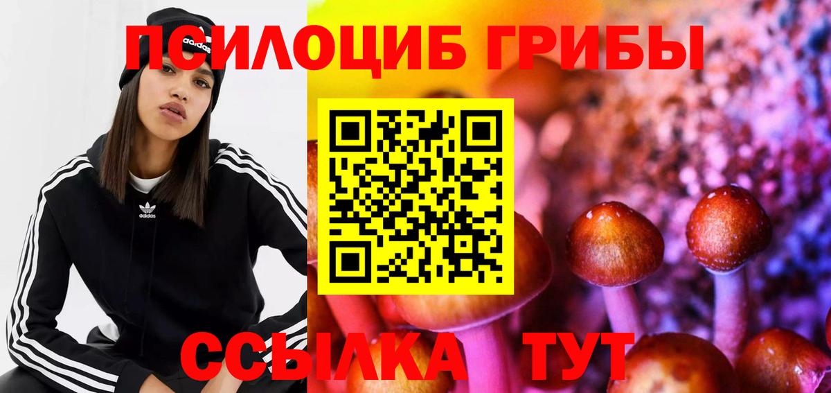 как найти закладки  Вход с VPN  Солнечногорск  Галлюциногенные грибы Cubensis 